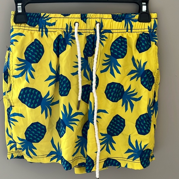 Swim Trunks - Picture 1 of 3